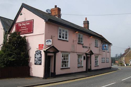 The Dog Inn 