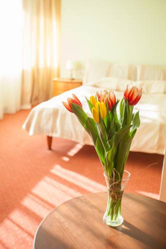 AirInn Vilnius Hotel 