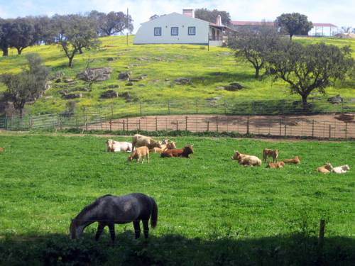 Herdade Ribeira de Borba 