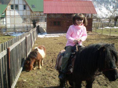 Pension House with Ponies 