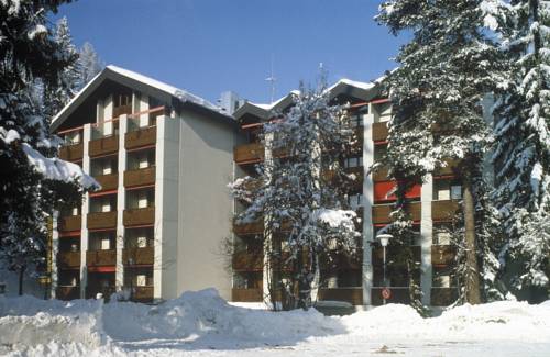 Hotel des Alpes 