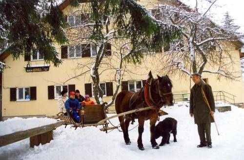 Guesthouse Arnika 