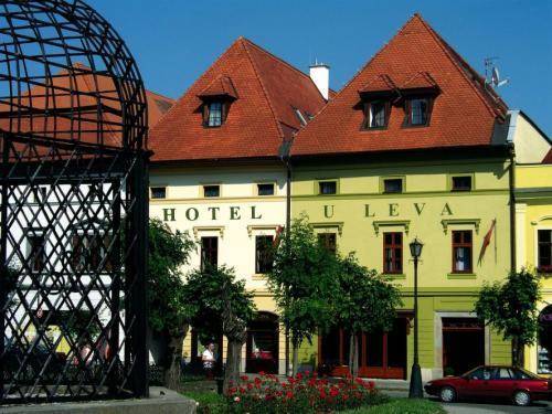 Hotel U Leva 