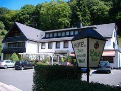 Hotel Zum grünen Wald 