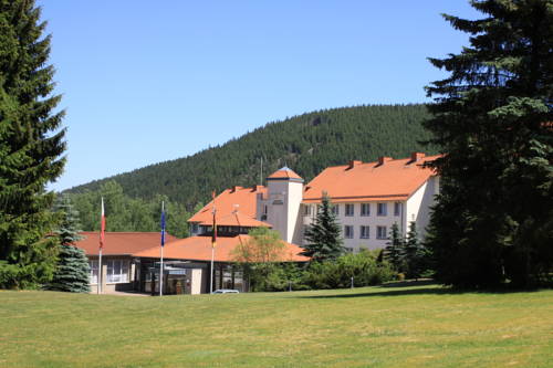 Waldhotel Berghof 