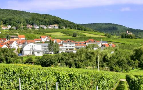 Hotel Südpfalz-Terrassen 