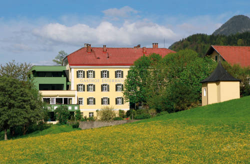 Hotel Gasthof Esterhammer 