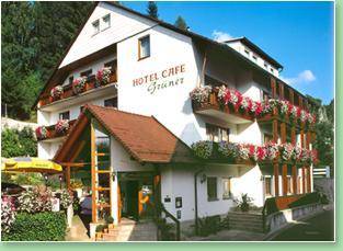 Hotel Café Grüner 