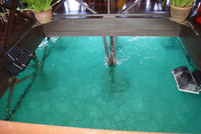 这是餐厅中央的一个大窟窿，吃饭时可以看到鱼儿游来游去的。